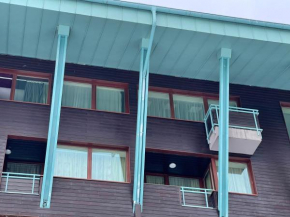 Tomy Apartment Silver Mountain